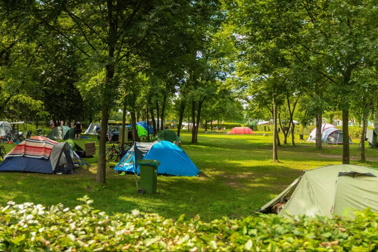 Campingplatz am Badesee Coswig Koetitz Zeltplaetze im Schatten der Baeume auf dem Campingplatz 1224x816
