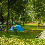 Campingplatz am Badesee Coswig Koetitz Zeltplaetze im Schatten der Baeume auf dem Campingplatz 150x150
