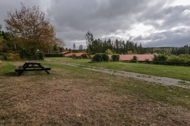 Campingplatz am Baerenbache Zeltwiese 768x512