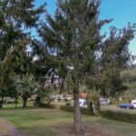 Campingplatz am Kraehenberg Standplatz 1 150x150