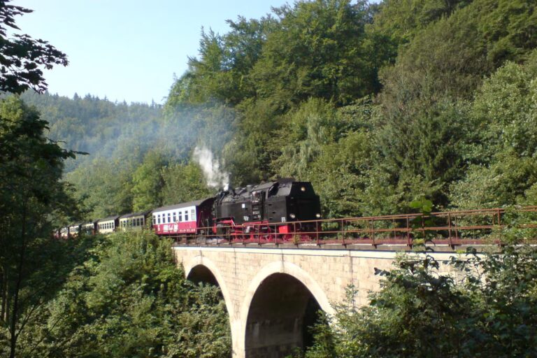 Campingplatz am Waldbad Lokomotivfahrt in der Naehe vom Campingplatz 768x512