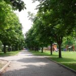 Campingplatz und Strandbad Hasse Spielplatz auf der gruenen Wiese auf dem Campingplatz  150x150