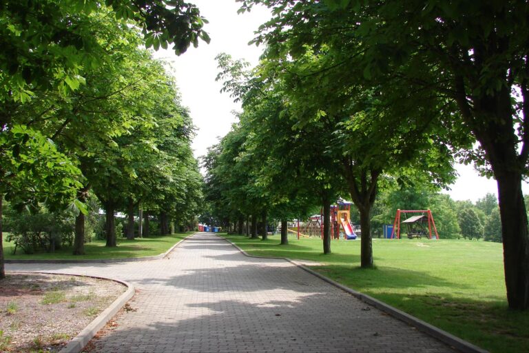 Campingplatz und Strandbad Hasse Spielplatz auf der gruenen Wiese auf dem Campingplatz  768x512