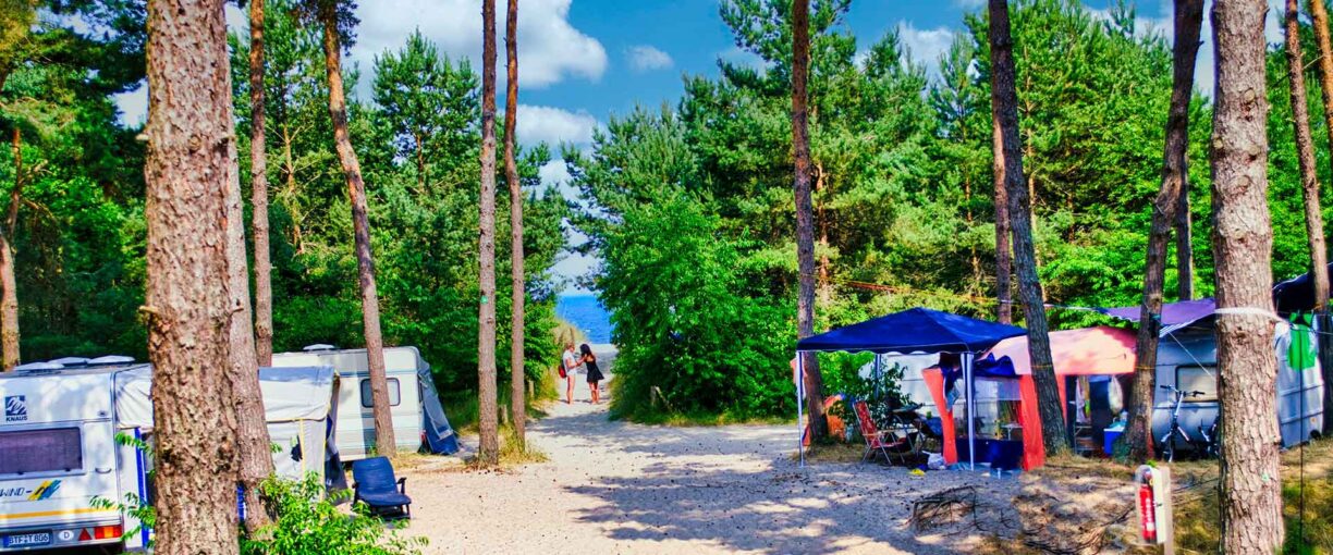 DC 1920 800 1 1224x510