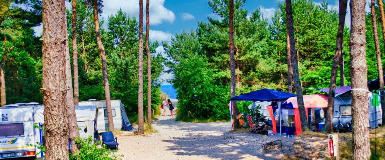 DC 1920 800 1 768x320