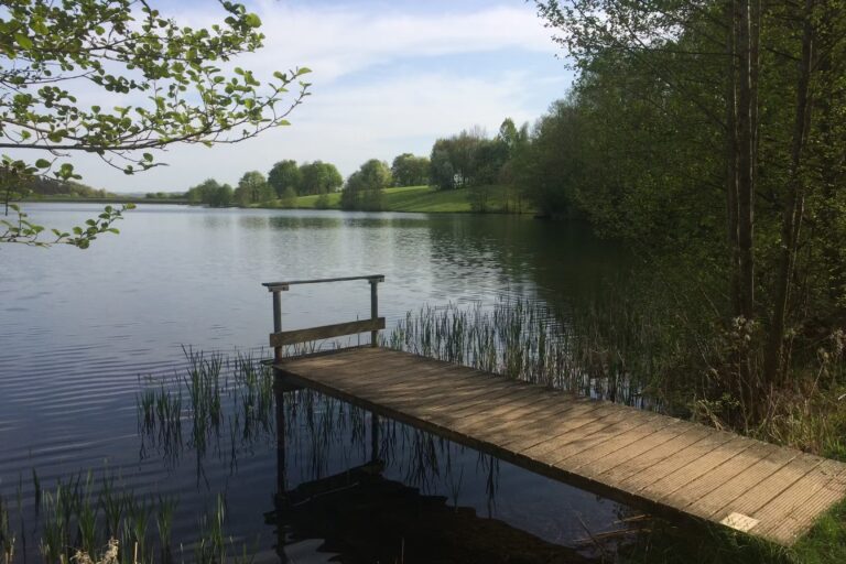 Eifel Camp Freilinger See Angeln am See vom Campingplatz 1 768x512
