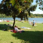 Eifel Camp Freilinger See Camper auf Liegewiese vom Campingplatz am See 1 150x150