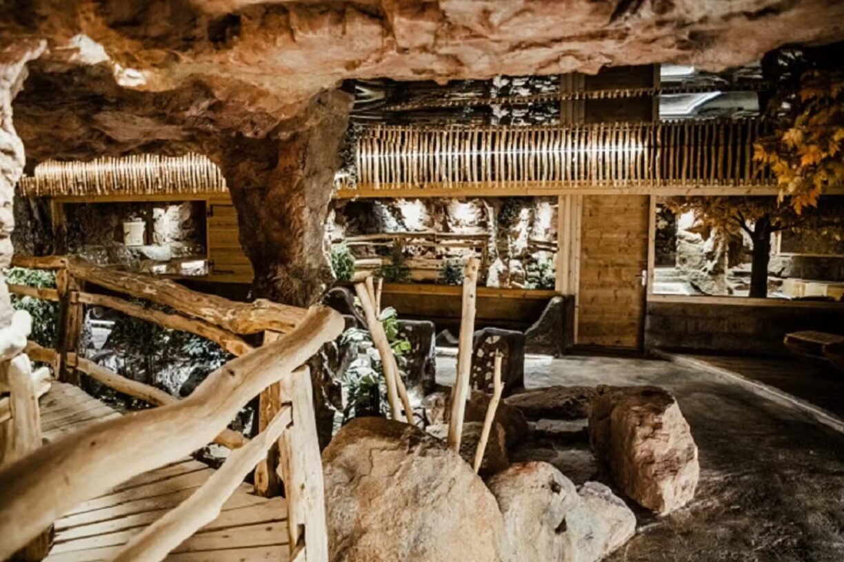 Ferienparadies Schwarzwaelder Hof Ruhebereich im Saunabereich 4b2d7378 b5c6 4981 b872 a2efa864c9dd 1224x816