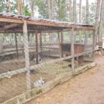 Ferienpark Ploetzky Gehege 150x150