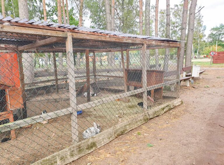 Ferienpark Ploetzky Gehege 768x566