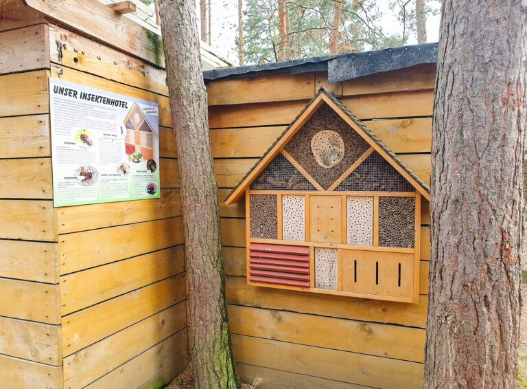 Ferienpark Ploetzky Insektenhotel 768x566