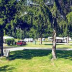 Harz Camp Goettingerode Wohnmobil und Wohnwagenstellplaetze im Gruenen f57d09d5 f7de 49a7 8ee0 04d9222f60d1 150x150