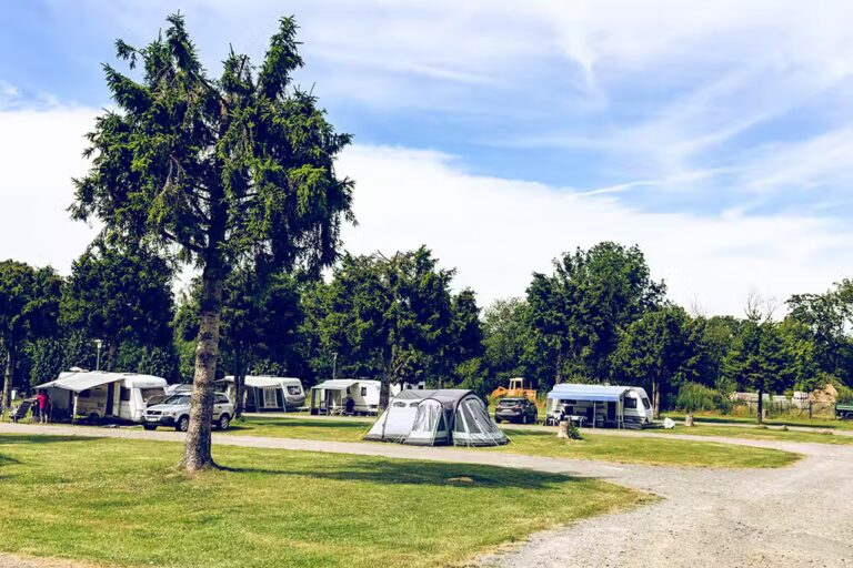 Harz Camp Goettingerode Zeltwiese e75ae000 15e6 42c1 a343 61664844a0e7 768x512