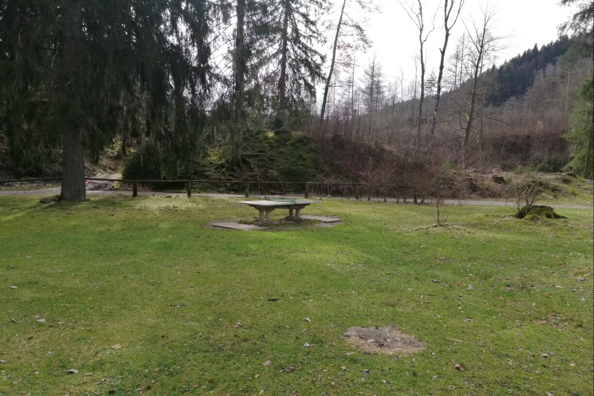 Harzklubs Wanderheim Wildemann Lagerfeuerstelle auf dem Campingplatz 37d83758 3e22 44db 87fc 3d52a674da6d 1224x816