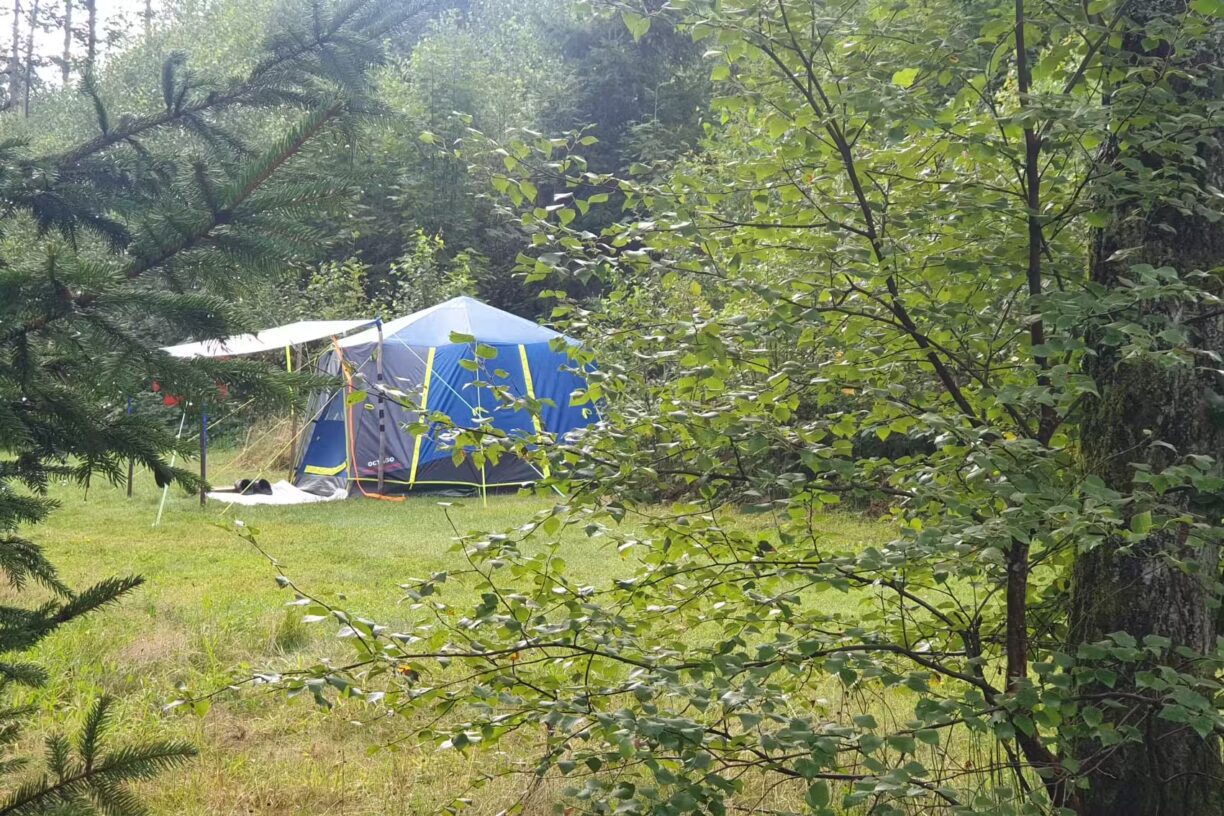 Harzklubs Wanderheim Wildemann Standplaetze auf dem Campingplatz 5253110c 1602 4a29 a50d 0e35580d1174 1224x816