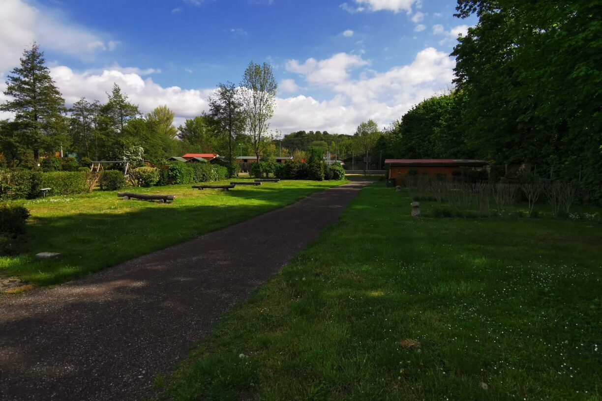 Klostercamping Thale Stellplaetze im Schatten der Baeume 448d800f 1ada 4947 8075 acd2ad117900 1224x816