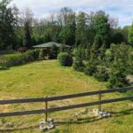 Klostercamping Thale Zeltplaetze auf der Wiese 365cea9a 28c8 4cf9 ac95 8bd26d8499d0 150x150