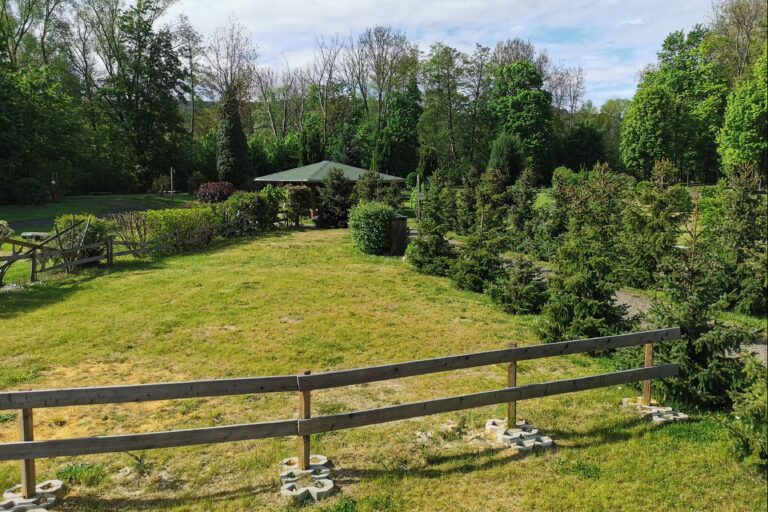 Klostercamping Thale Zeltplaetze auf der Wiese 365cea9a 28c8 4cf9 ac95 8bd26d8499d0 768x512