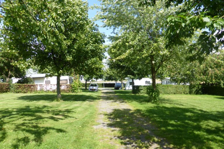 Komfort Campingplatz Panoramablick Zeltwiese vor den Stellplaetzen auf dem Campingplatz 768x512