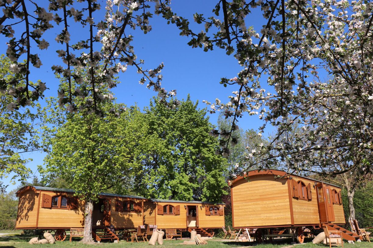 Kur Gutshof Camping Arterhof wohnwagen aus Holz auf dem Campingplatz 1224x816