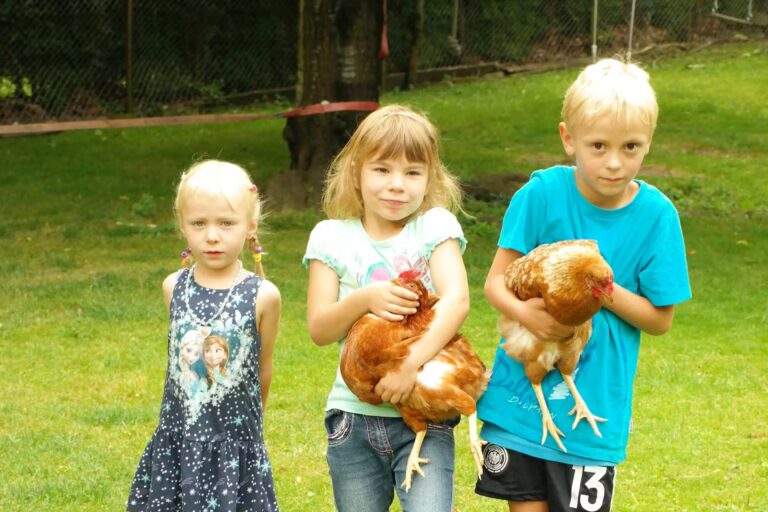 Kurcamping Harz Kinder spielen im Tiergarten auf dem Campingplatz 768x512