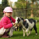 Kurcamping Harz Kinderaktivitaeten im Tiergarten auf dem Campingplatz 150x150