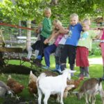 Kurcamping Harz Tiergarten vom Campingplatz mit Zwergziegen 150x150