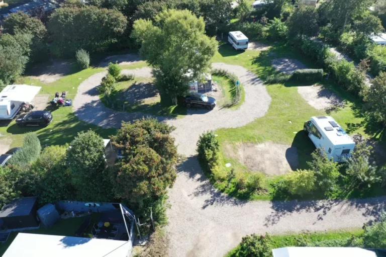 N21 N35 40d89099 768x511