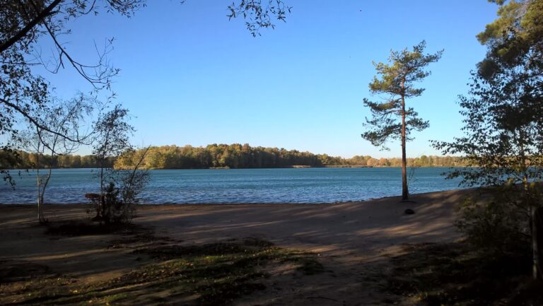 Naturcampingplatz am Olbasee Blick auf den See b929bdd0 a5cf 439c 80d9 a335d1b254e4 768x433