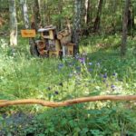 Naturcampingplatz am Olbasee Camping mitten in der Natur 98bd4c00 0cd6 4a3a 9cff 42f4a215413c 150x150