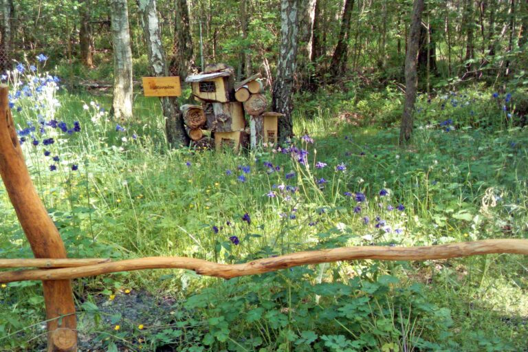 Naturcampingplatz am Olbasee Camping mitten in der Natur 98bd4c00 0cd6 4a3a 9cff 42f4a215413c 768x512