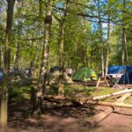 Naturcampingplatz am Olbasee Zeltplaetze im Halbschatten 06d57850 2150 4948 b78a 5fa722f4e57c 150x150