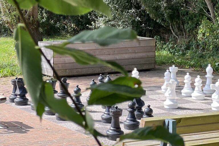 Ostseecamp Gluecksburg Holnis Riesenschach auf dem Campingplatz b2906197 b18f 4444 bcfe 8bb36e3710d2 768x512