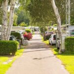 Ostseecamping Familie Heide Wohnmobilstellplatz vom Campingplatz zwischen Baeumen 150x150