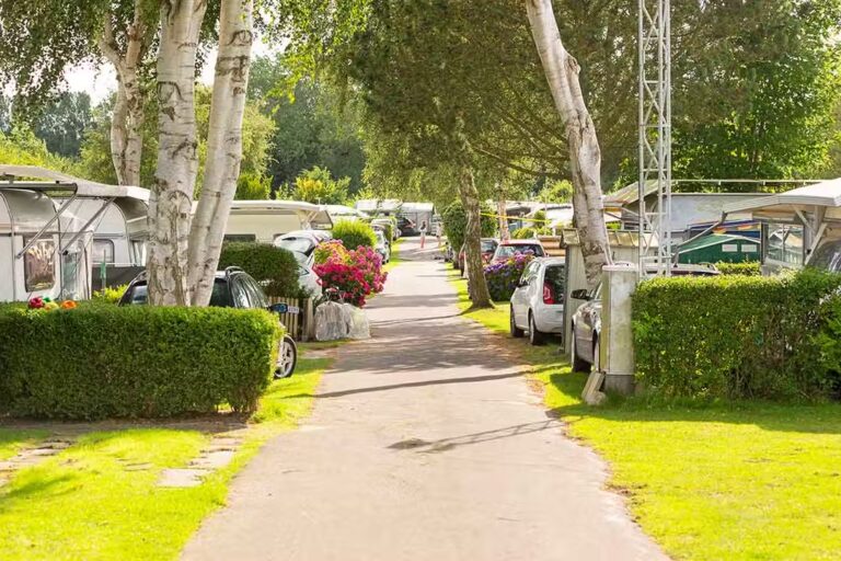Ostseecamping Familie Heide Wohnmobilstellplatz vom Campingplatz zwischen Baeumen 768x512
