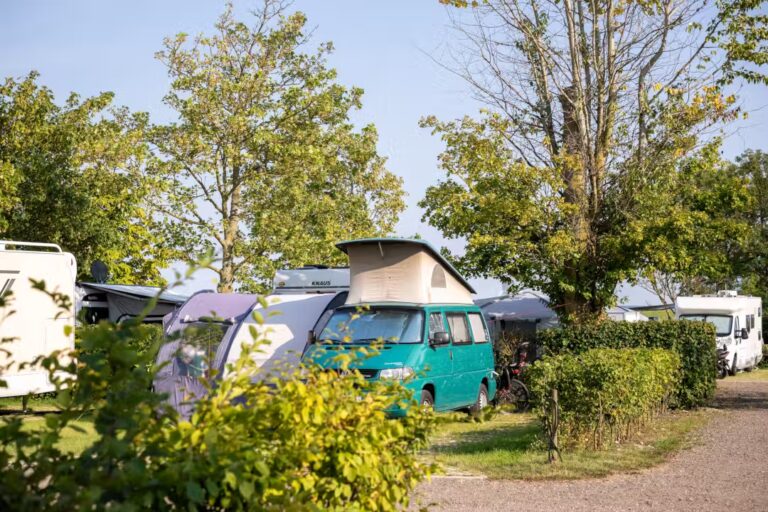 Rosenfelder Strand Ostsee Camping Standplaetze auf dem Campingplatz 831f77dd 2f56 4d21 b3ef 82d14539db62 768x512