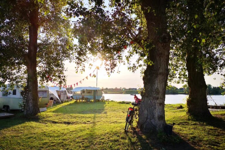 Stover Strand Camping Standplaetze auf der Wiese mit Aussicht auf die Elbe 302436b3 e95a 47e6 ad0e 3af457fc6936 768x512