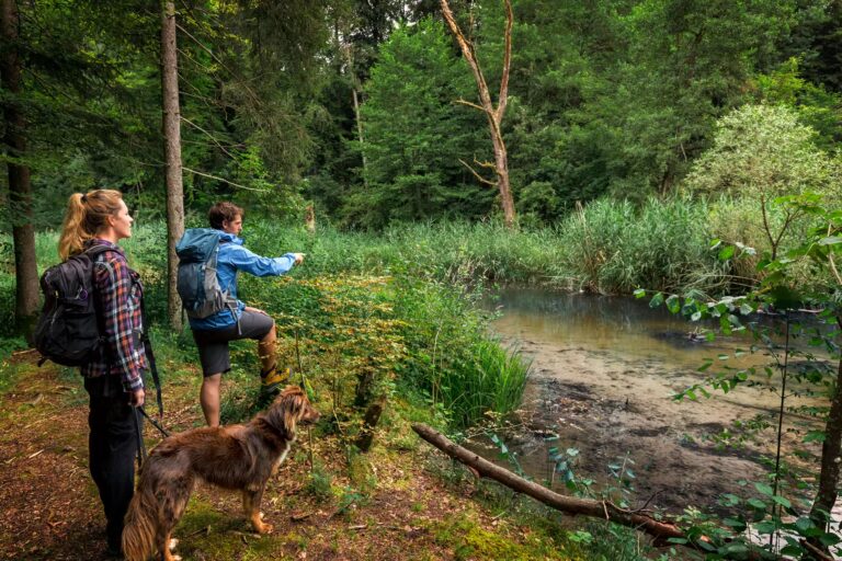 Strandcamping Waging Wandern in der Natur in der Umgebung des Campingplatzes 658259c4 b8bb 4257 b03f 0642704bf888 768x512