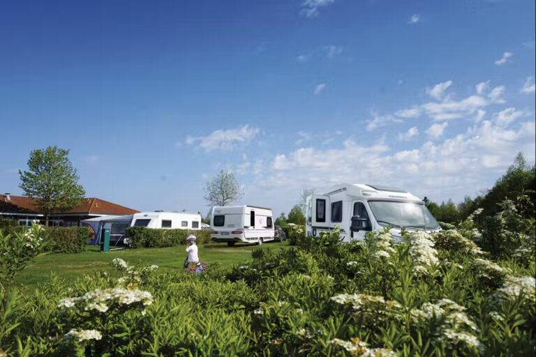 Suedsee Camp Stellplaetze im Gruenen b841a2f0 d8c1 473f 8d7a 6ad71ac5ab7d 768x512