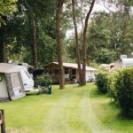 Vakantiepark Beerze Bulten Standplaetze im gruenen auf einer Wiese unter Baeumen b0ebfa03 c268 4eec ae16 5238c8d2eec5 150x150