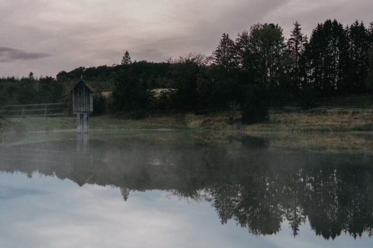 Wildwood Camping Harz Camping Waldweben Blick auf den See am Campingplatz ba032c1d 7155 4cc8 8861 6fe7ddcd75e1 768x512