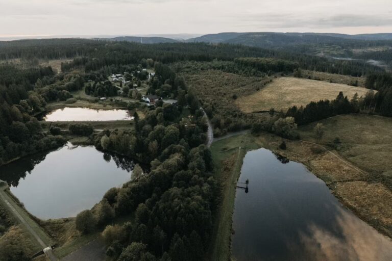 Wildwood Camping Harz Camping Waldweben Campingplatz aus der Vogelperspektive d993e393 9aaf 46cd a6fe f067ad23ade0 768x512