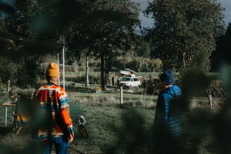 Wildwood Camping Harz Camping Waldweben Standplaetze auf dem Campingplatz c5a6735f 84b4 4b51 8181 030e1698f83c 768x512