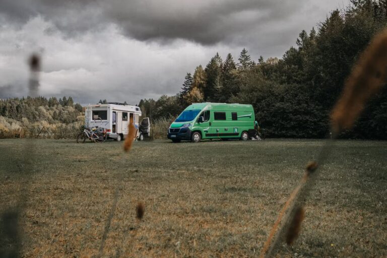 Wildwood Camping Harz Camping Waldweben Standplatzwiese auf dem Campingplatz 14c84d11 2cca 4633 ac70 e825adae5fe2 768x512