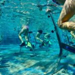 Yelloh Village Le Brasilia wassersportaktivitaeten am pool eb00ea04 1cbe 45a8 8957 ab104f665b98 150x150