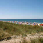 csm 4  c NAEO Strand 02 58724f5066 150x150