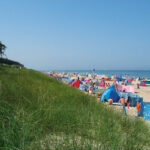 csm 5  c NAEO Strand 01 7db1e5f1e5 150x150