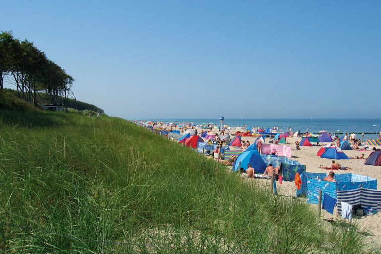 csm 5  c NAEO Strand 01 7db1e5f1e5 768x512