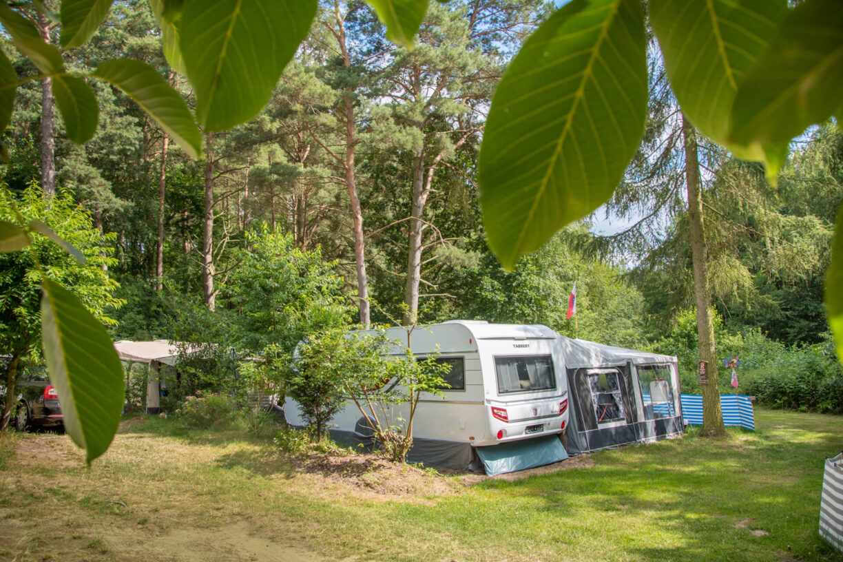 noerdlicher platzteil fkk camping raetzsee 1224x816