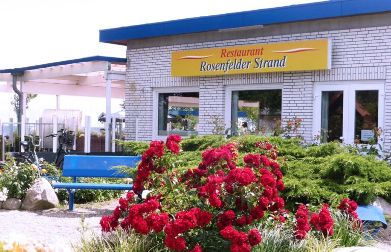 ostsee campingplatz gastronomie 3 768x494